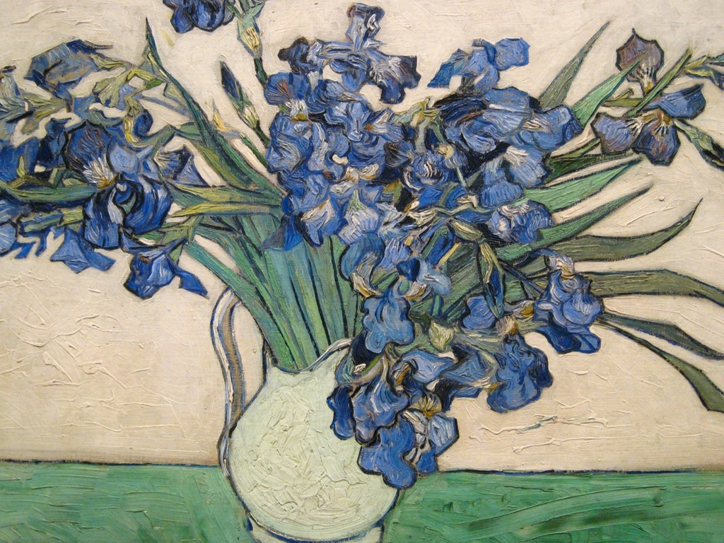 Vincent Van Gogh by Lily Comito