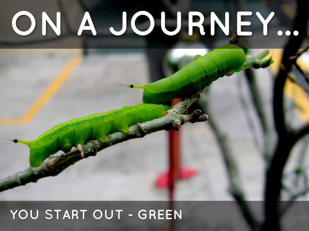 First Grade Transformation