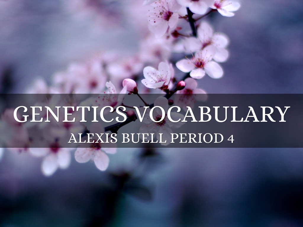 Genetics Vocabulary 