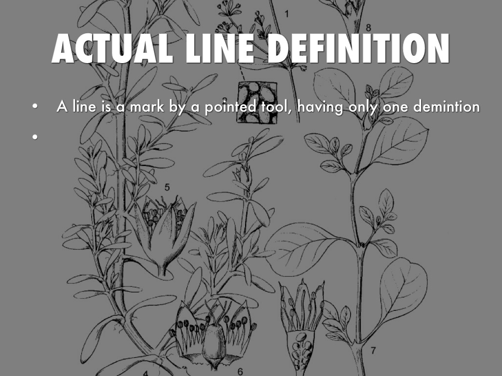 Lines by Bruce Kolley