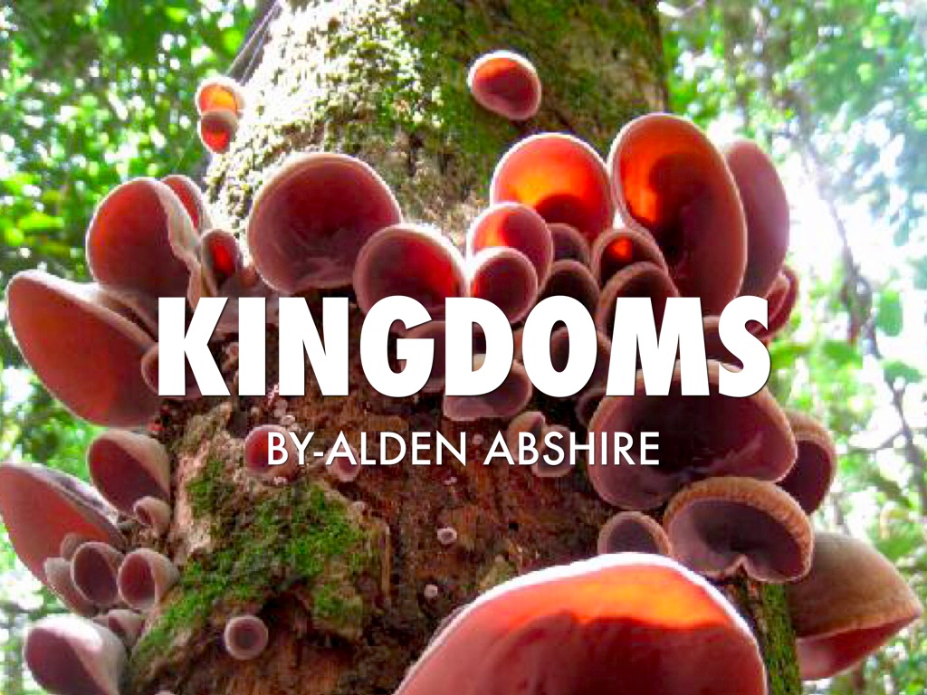 Kingdoms