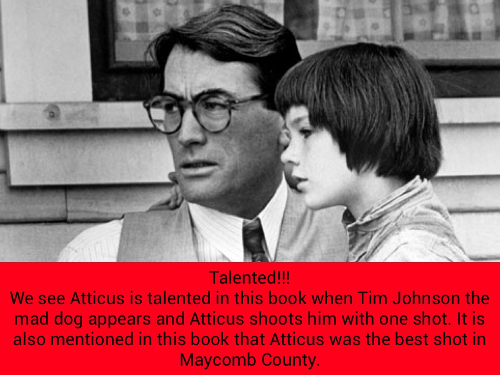 Why Did Atticus Shoot The Mad Dog