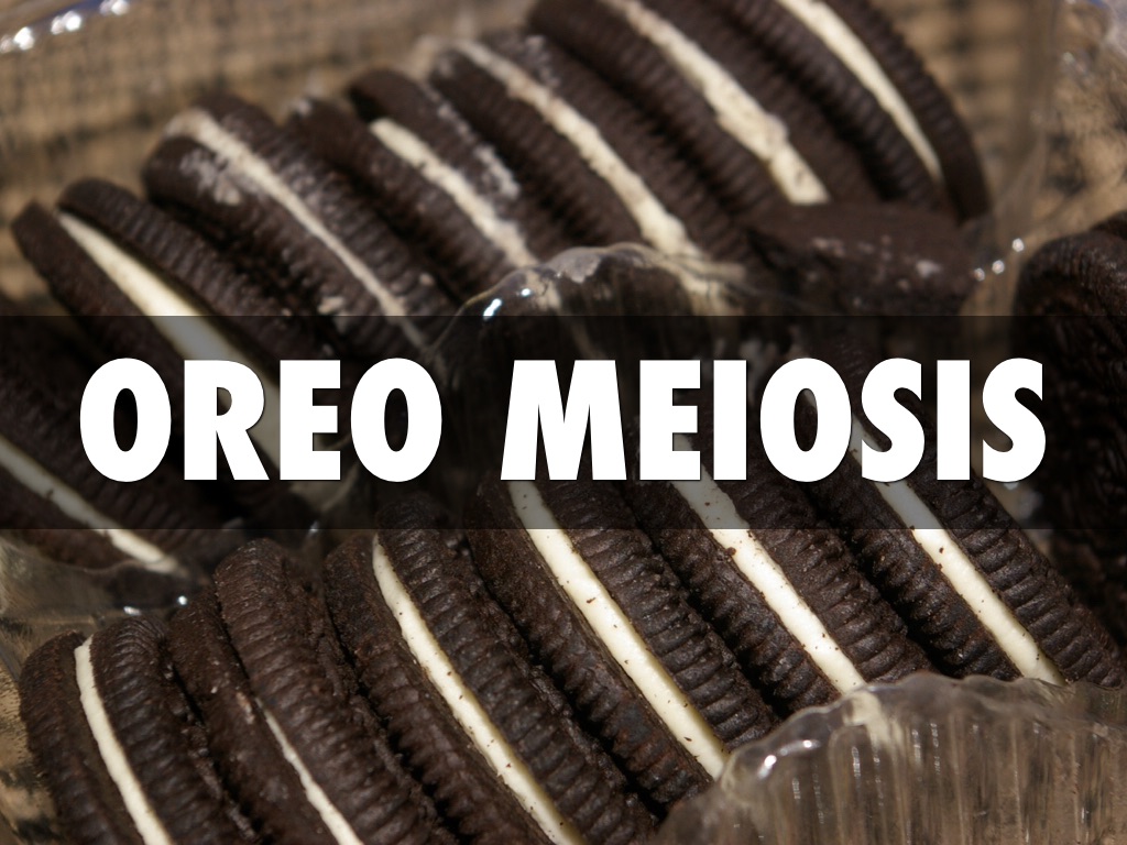 Oreo meiosis