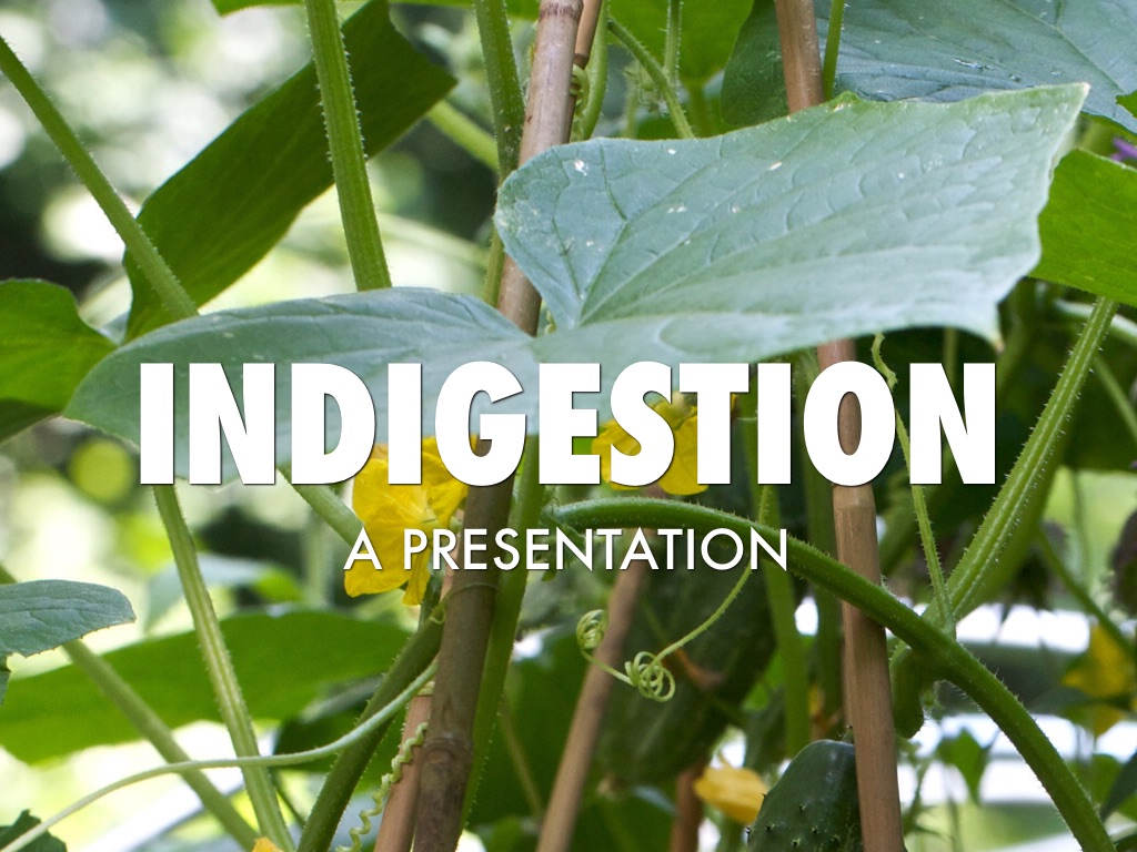 Copy of Untitled Haiku Deck