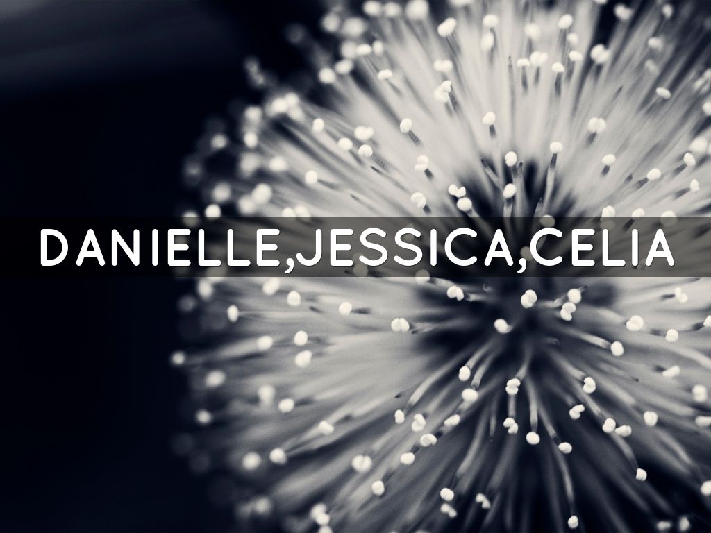 danielle,jessica,celia