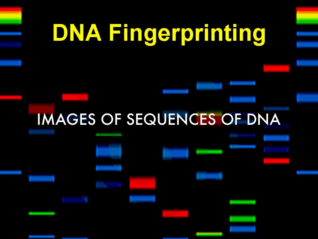 DNA Fingerprinting