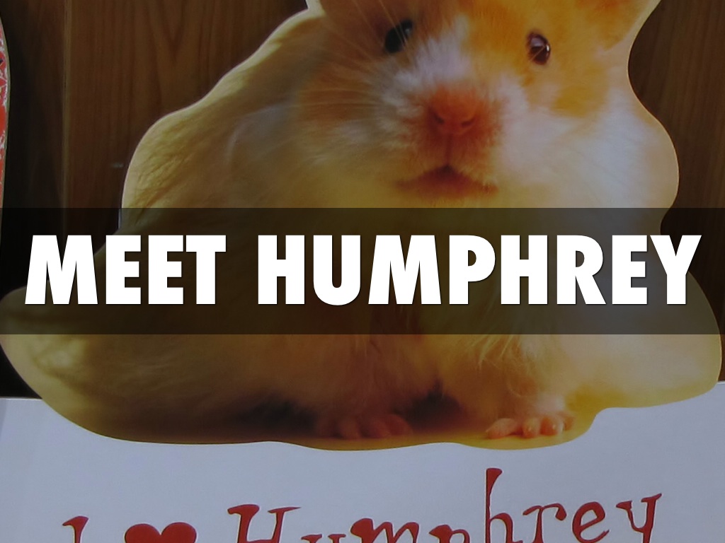 The World According To Humphrey By Betty G.birney