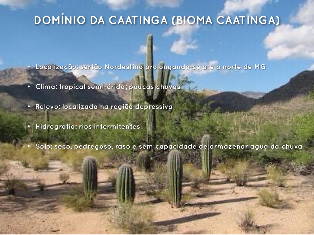 Dominios Brasileiros