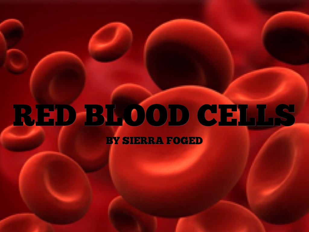 Red Blood Cells