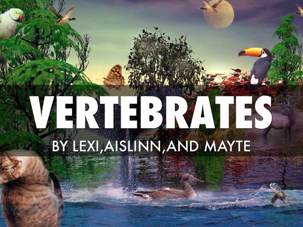 Vertebrates