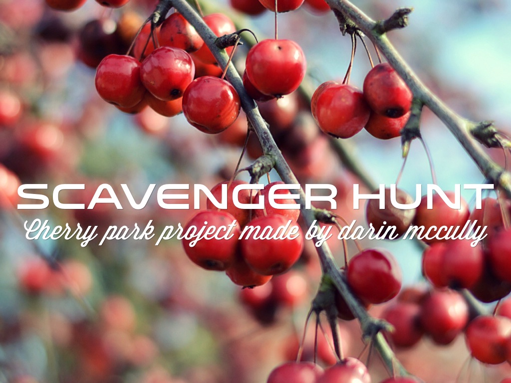 Scavenger Hunt