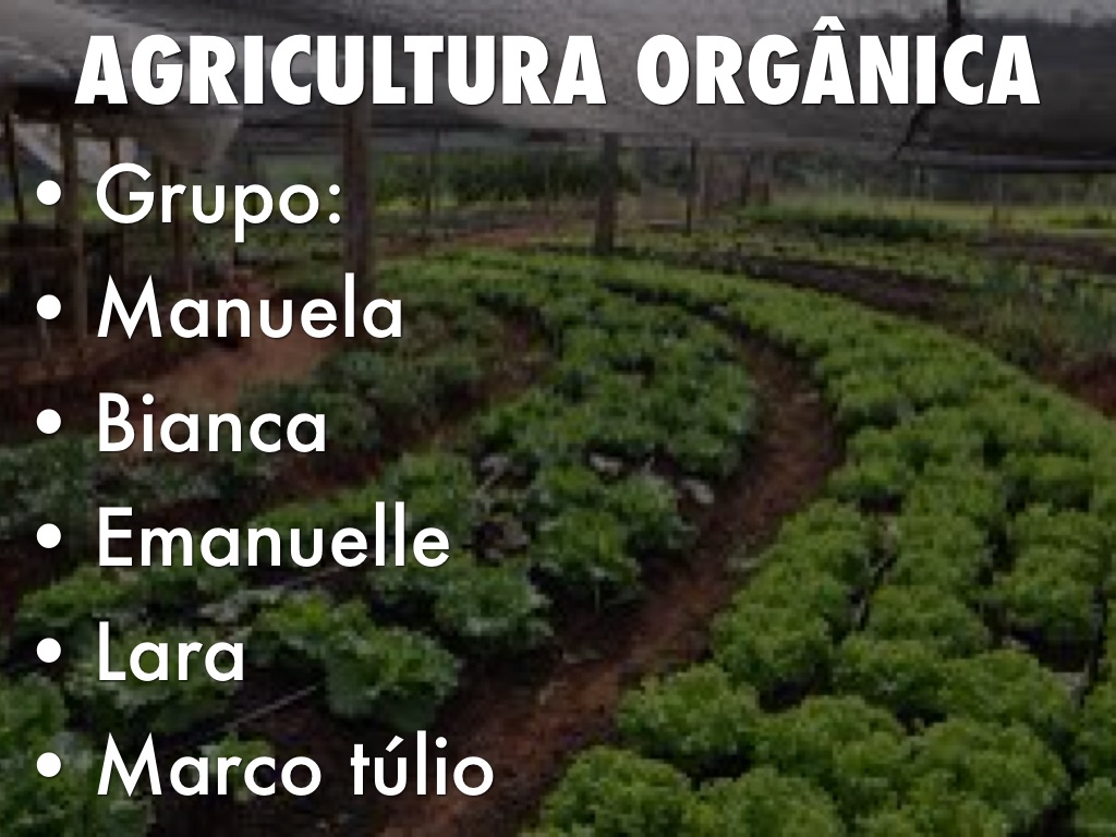 Agricultura Organica