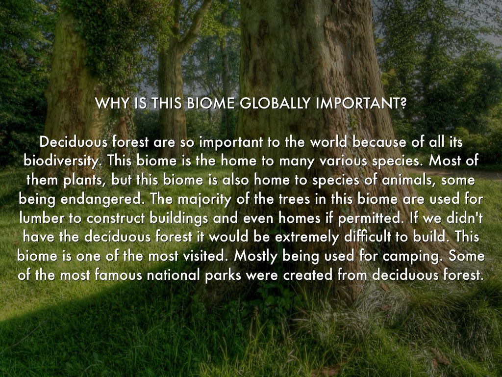Science Biome by stagegirl1221