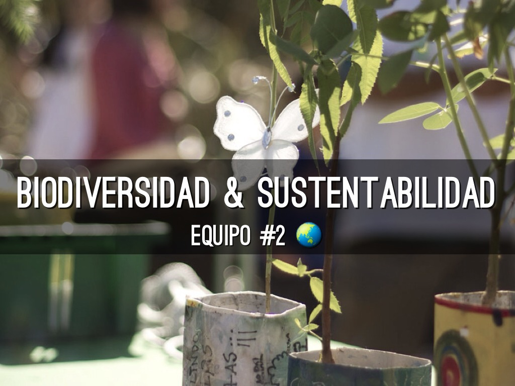 Biodiversidad Y Sustentabilidad 