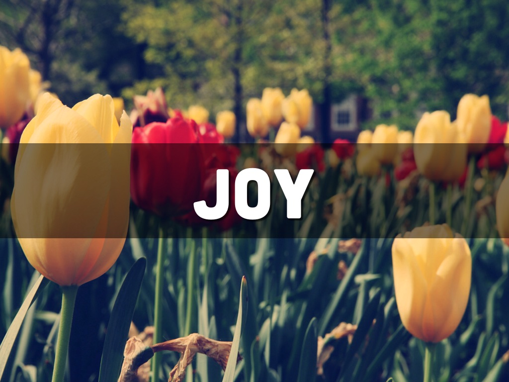 Joy