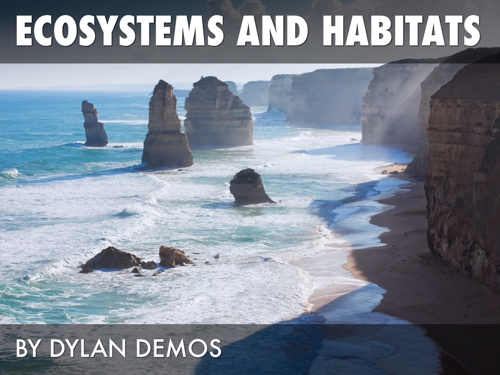 Habitats And Ecosystems