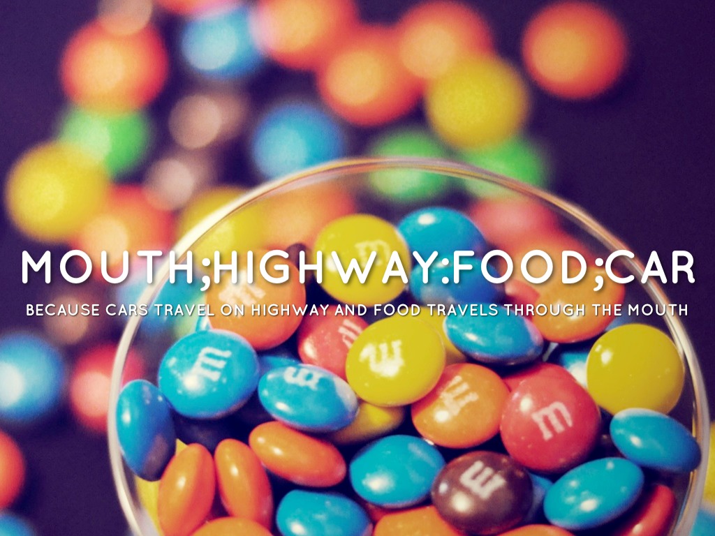 Science Digestive System