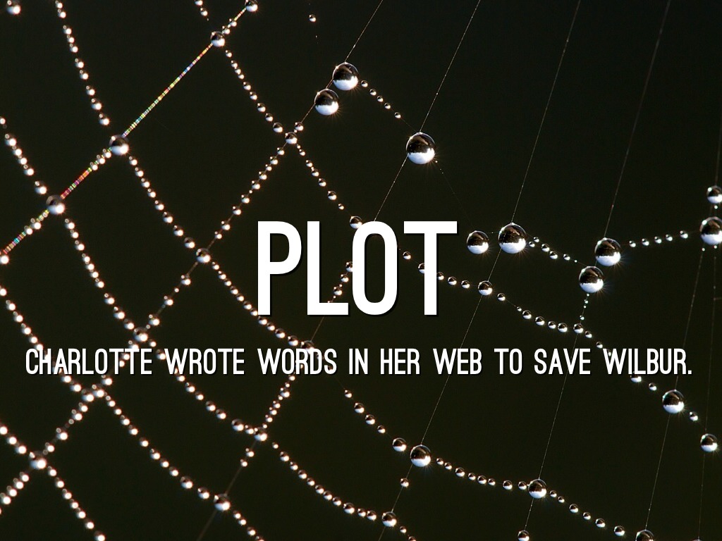 Charlotte's  by Irichman1 Ninofranco