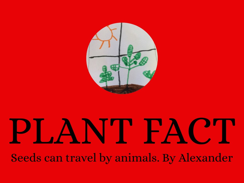 We Are Plant Experts by 2DSuperstars Mrs. B's Class