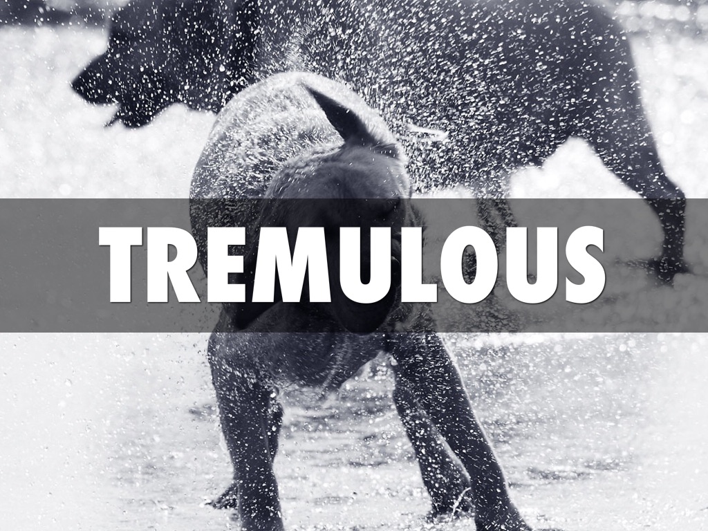 Bronze Bow Vocab by Matt Simpson