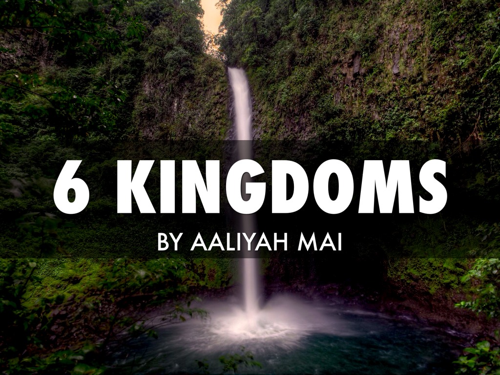 6 Kingdoms