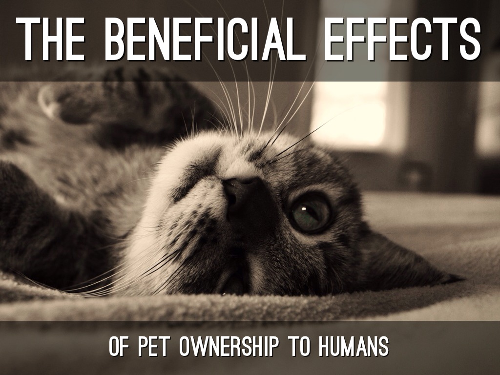 The Beneficial Effects Of Pet Ownership To Humans by