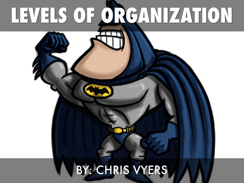 Levels Of Organization 