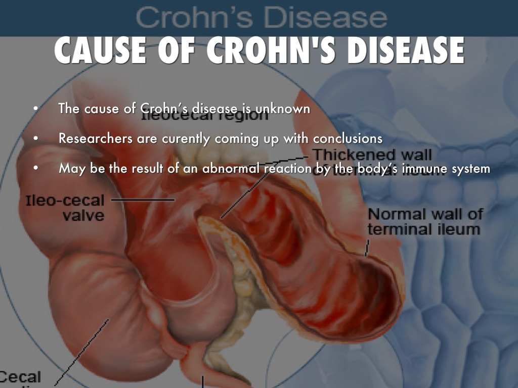 Presentation by Michael Williams