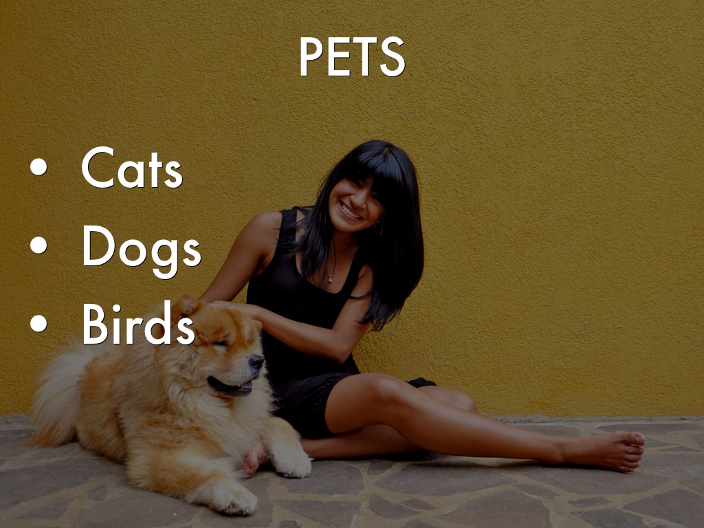 Pets