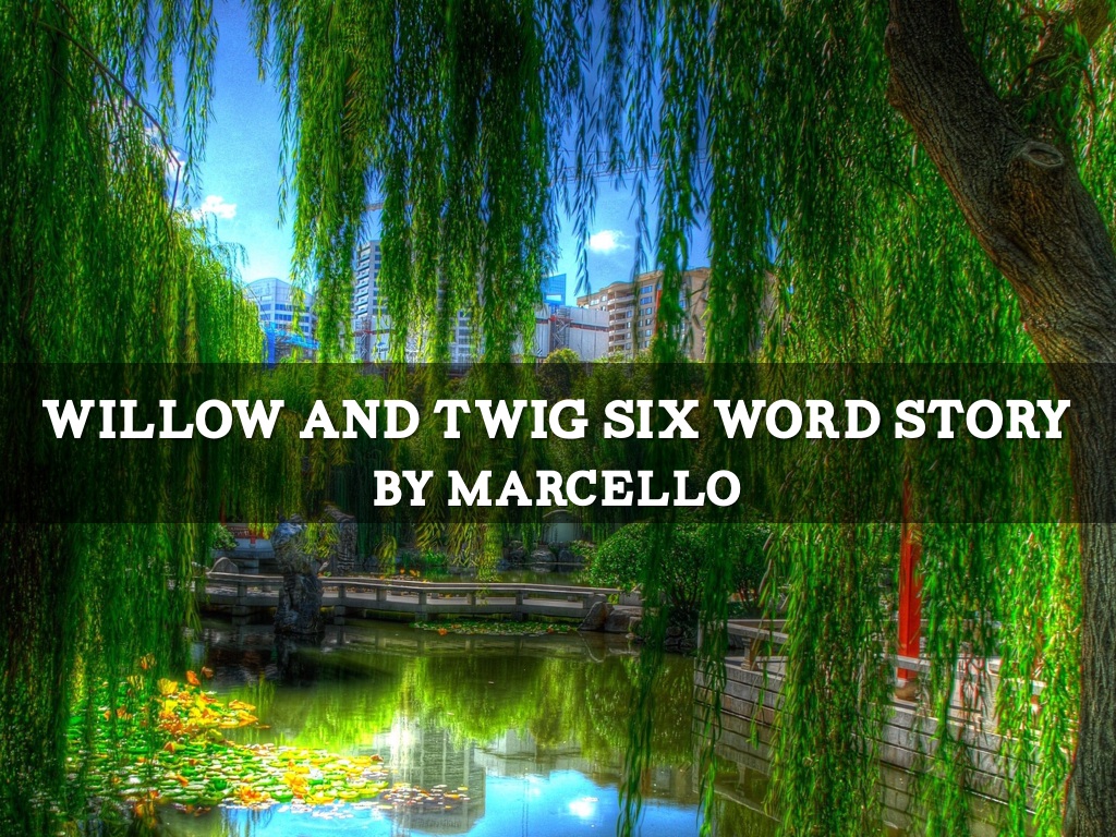 Willow And Twig Six Word Story Marcello