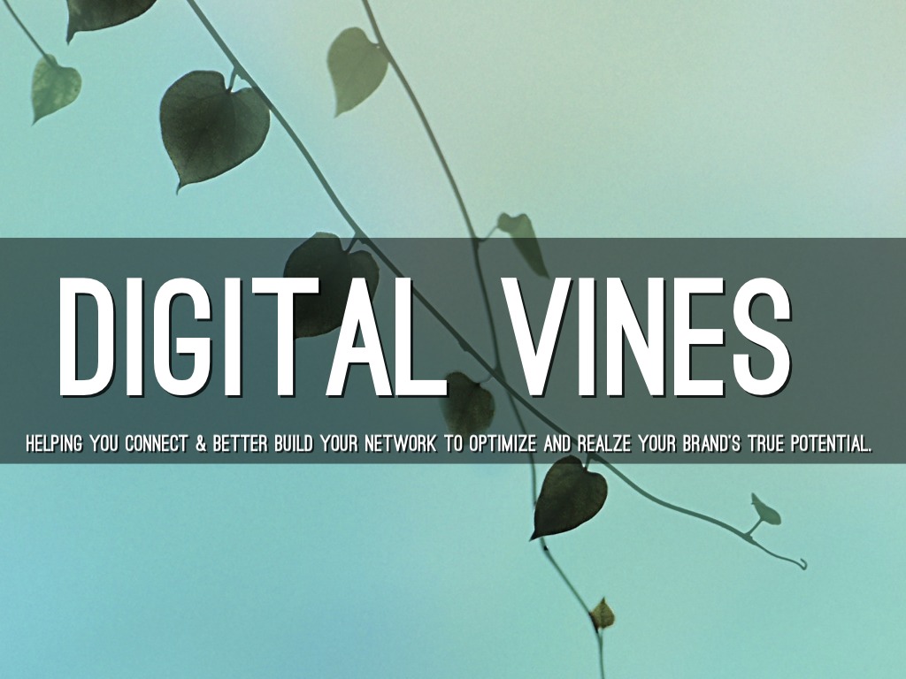 Digital Vines: A Media Entrepreneurship Final Project