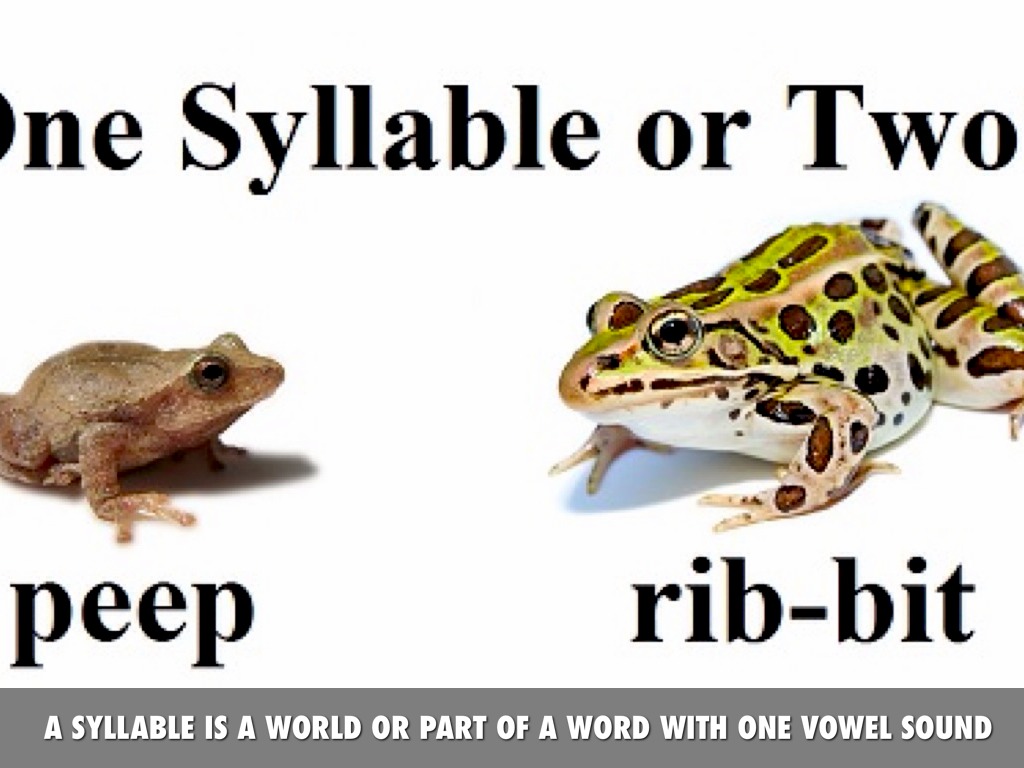 6 Syllable By Pamlgrade6