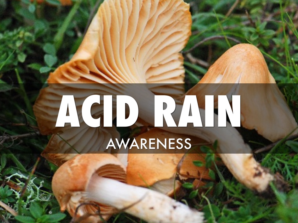 Copy of Project Awareness Product