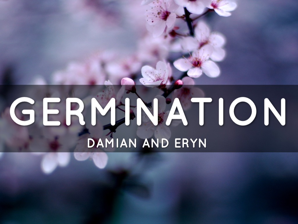 Germination