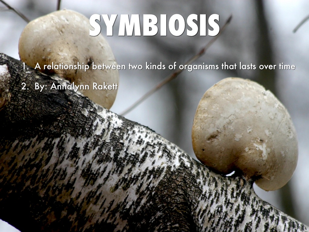 Symbiosis