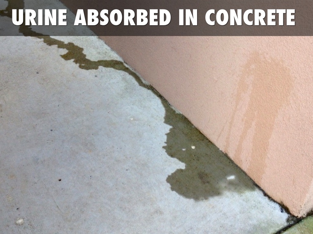 Smother's Lofts Courtyard by Bobbie Bingham