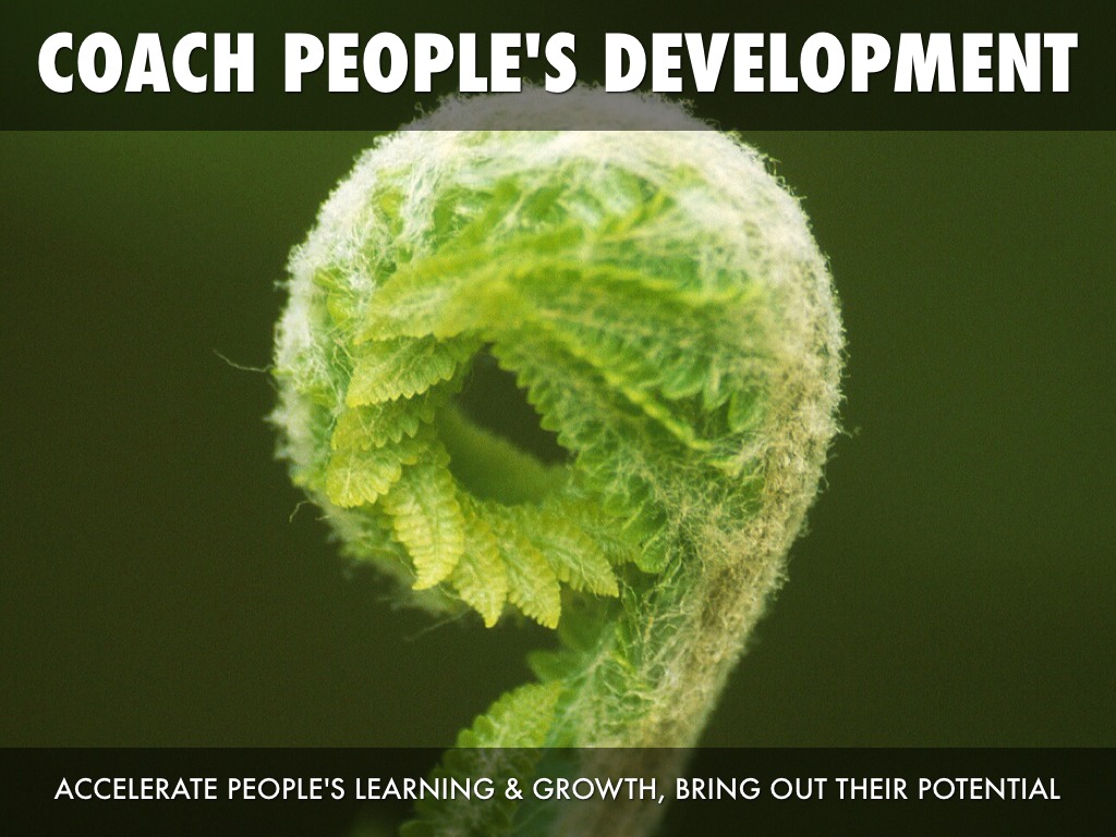 Coach People's Development Draft In Progress