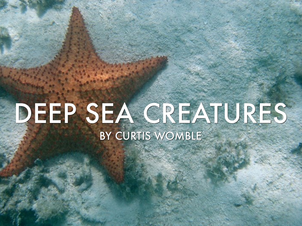 Deep Sea Creatures
