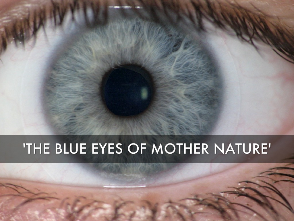 Metaphors by Nick Mccarthy