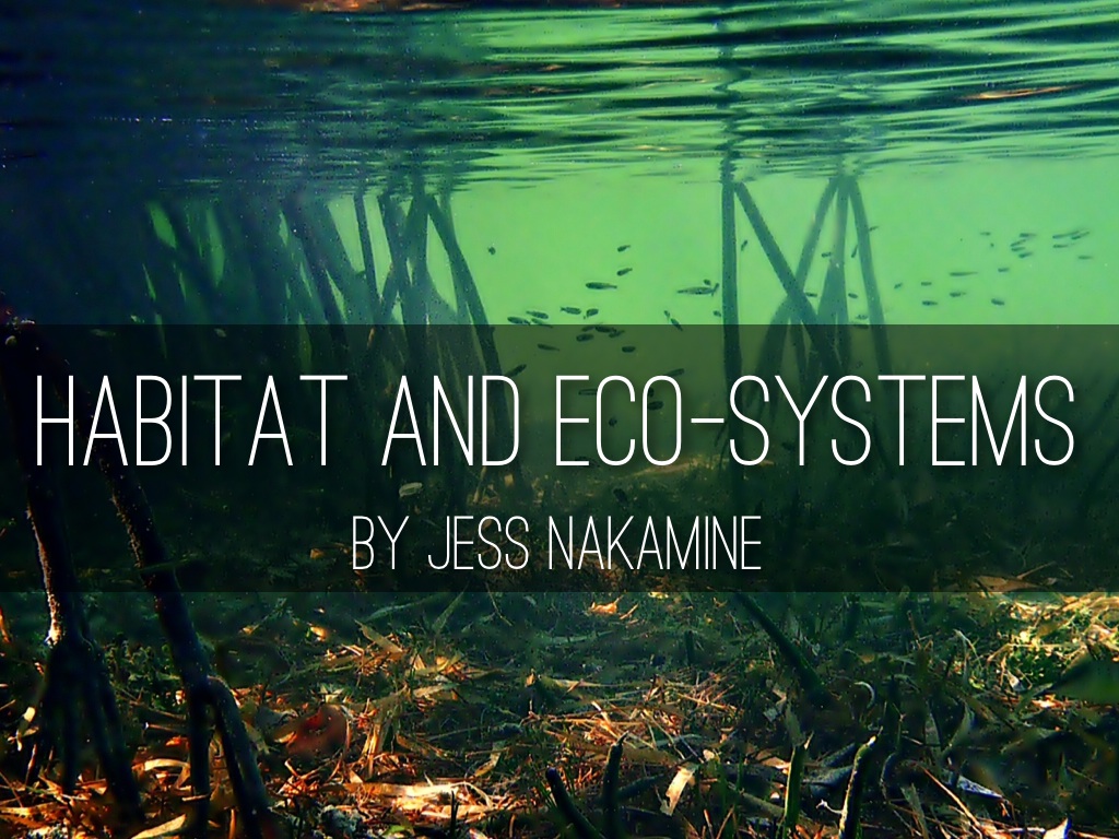 Habitat and Ecosystems
