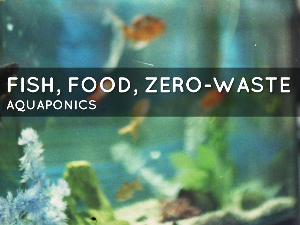 BE: Aquaponics 