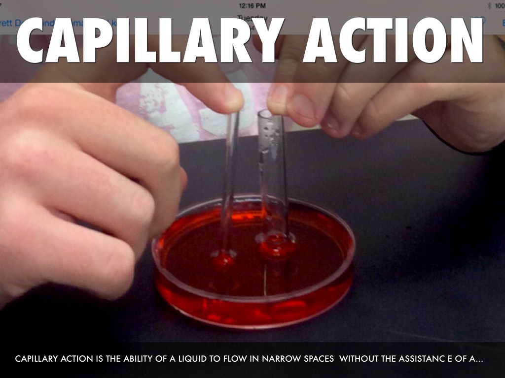 Post Lab Haiku by dmclaughlin18