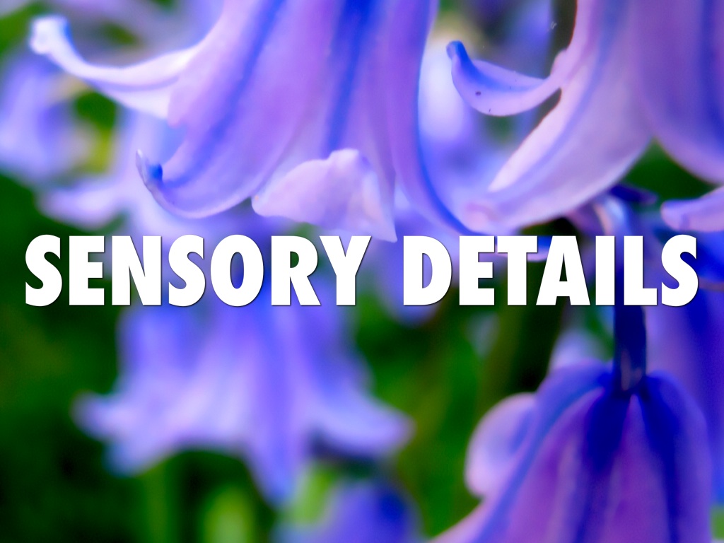 Sensory Details