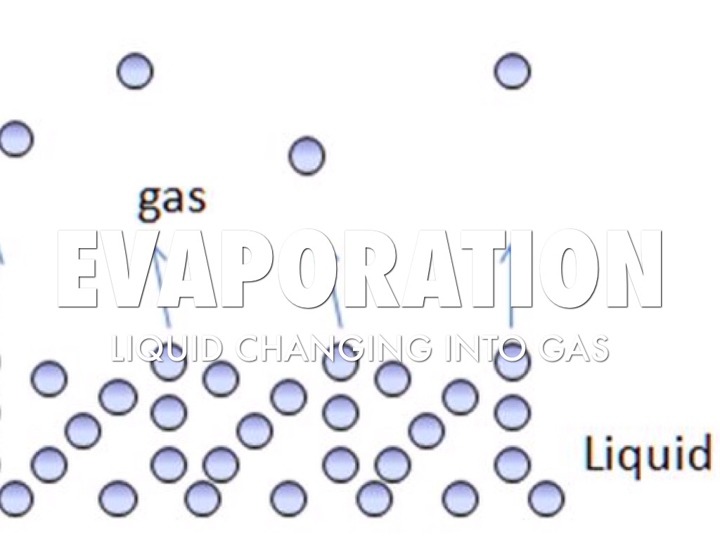Science Vocab by Hannah Anderson