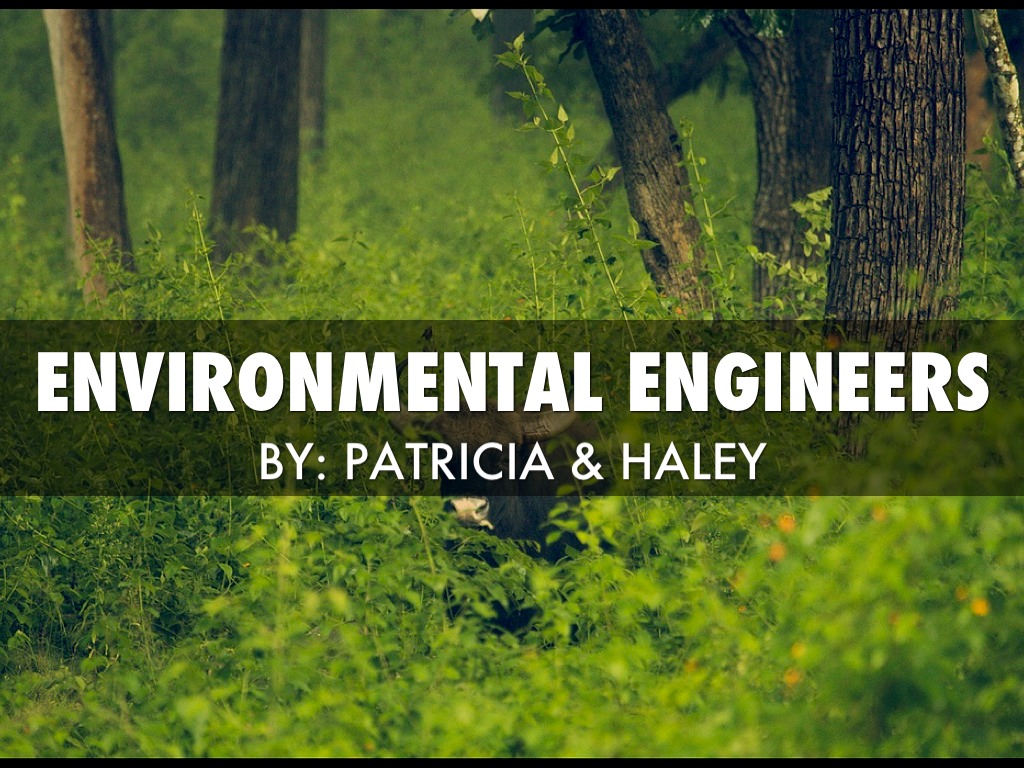 Environmental Project 