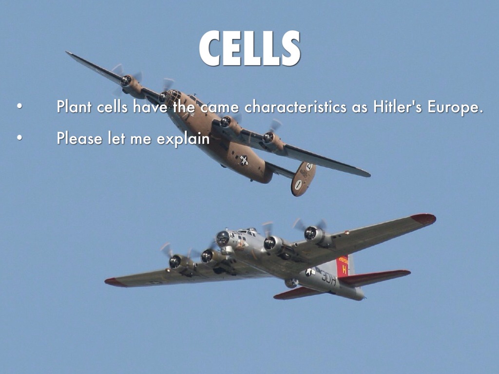 Nazi Occupied Europe 