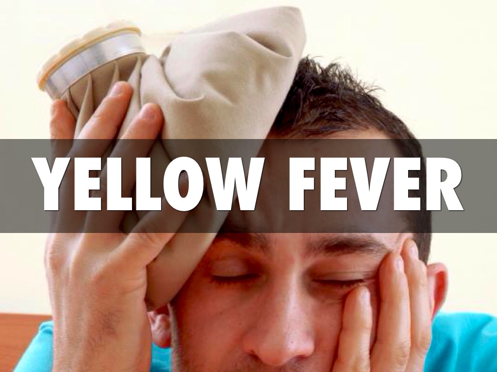 Yellow Fever by Nicole Anderson