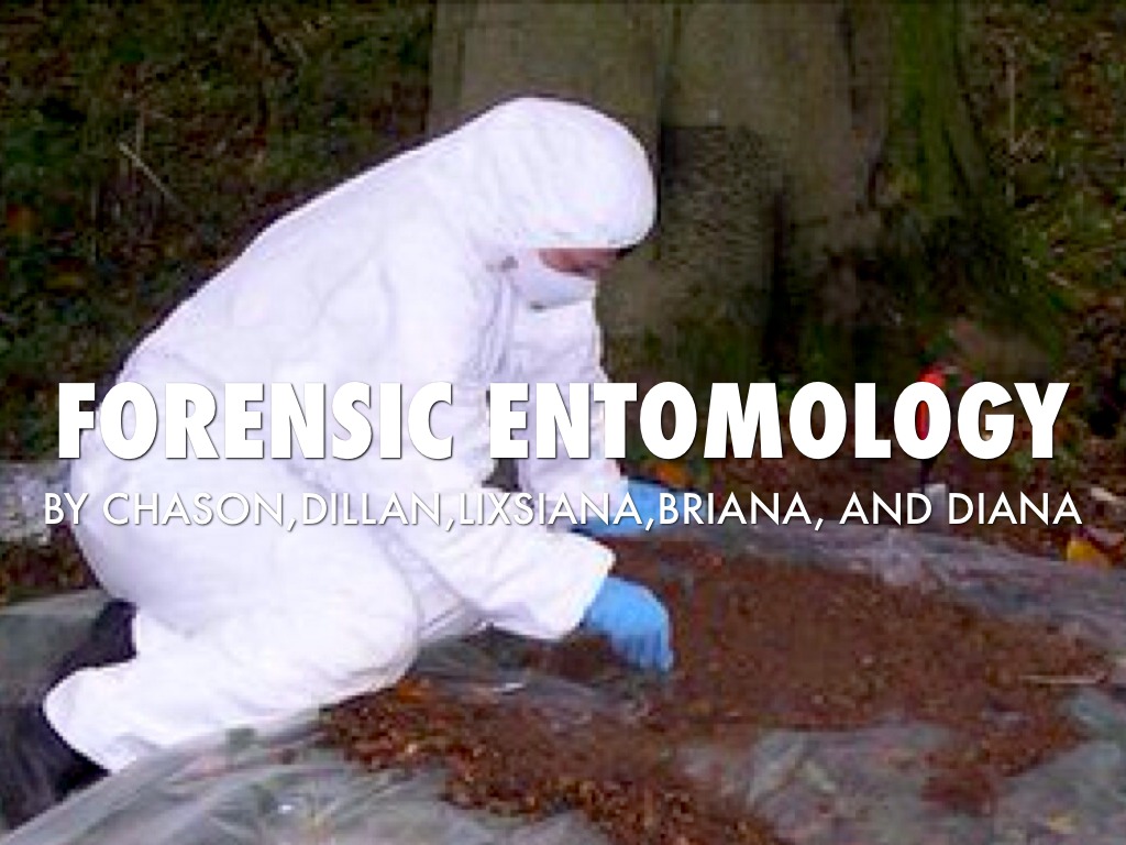 Forensic Entomology