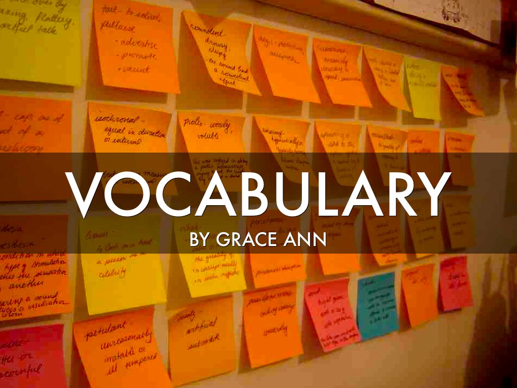 Vocabulary 