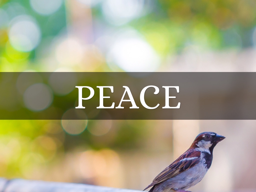 Peace
